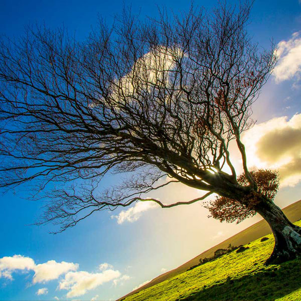 stonefree-photography-portfolio-landscape
